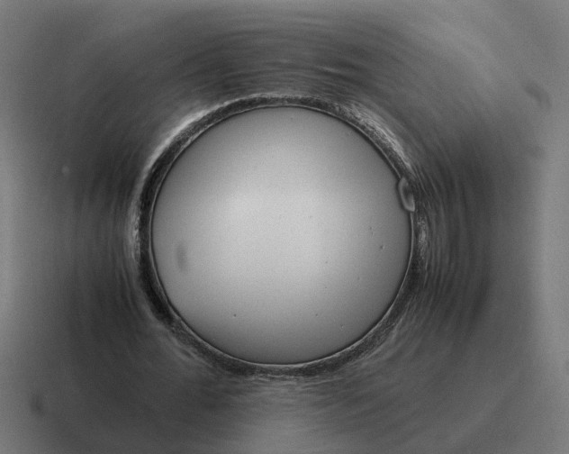 X0000116760676200912311819