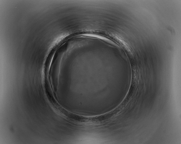 X0000116760678200912311819