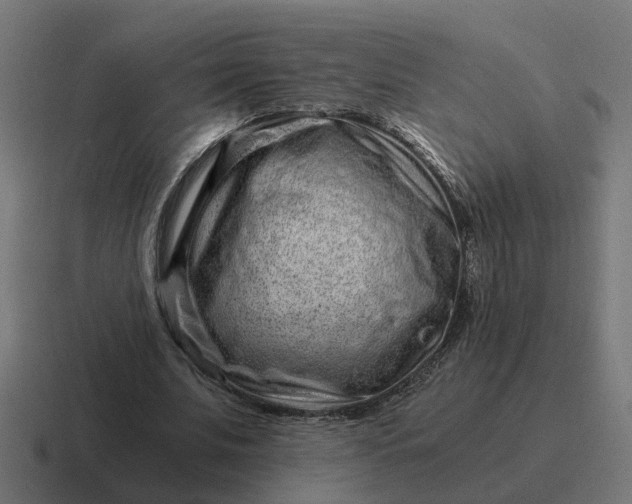 X0000116760679200912311819