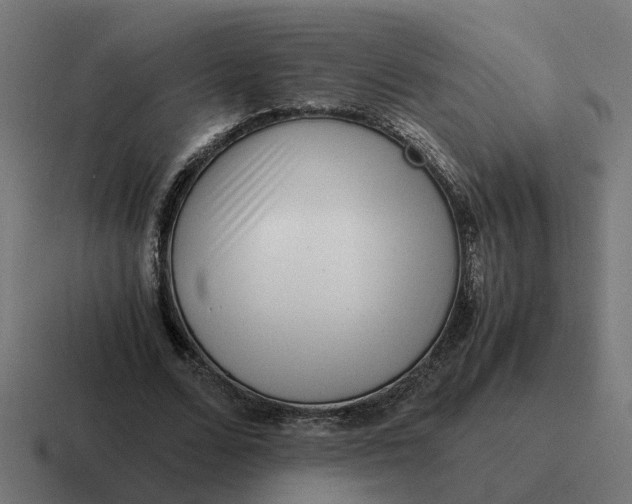 X0000116760680200912311819