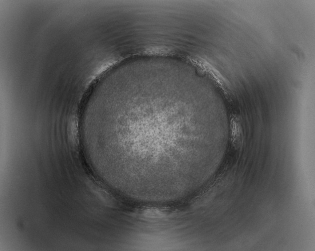 X0000116760684200912311819