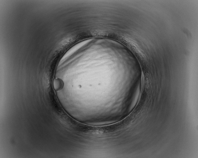 X0000116760687200912311819