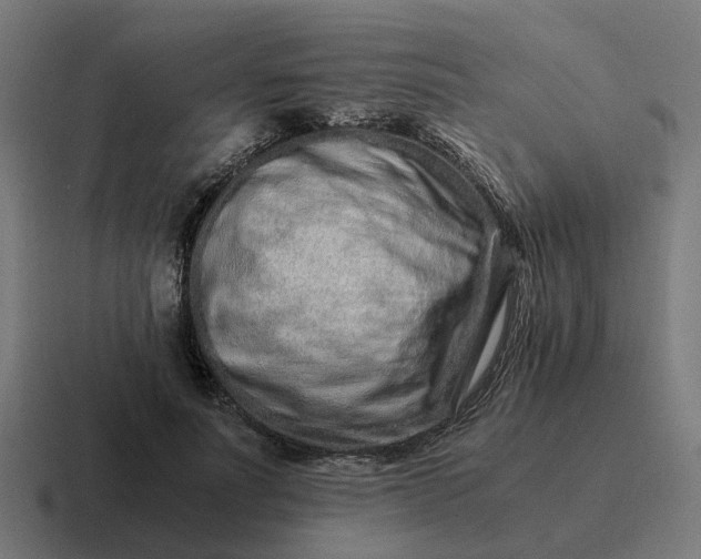 X0000116760691200912311819