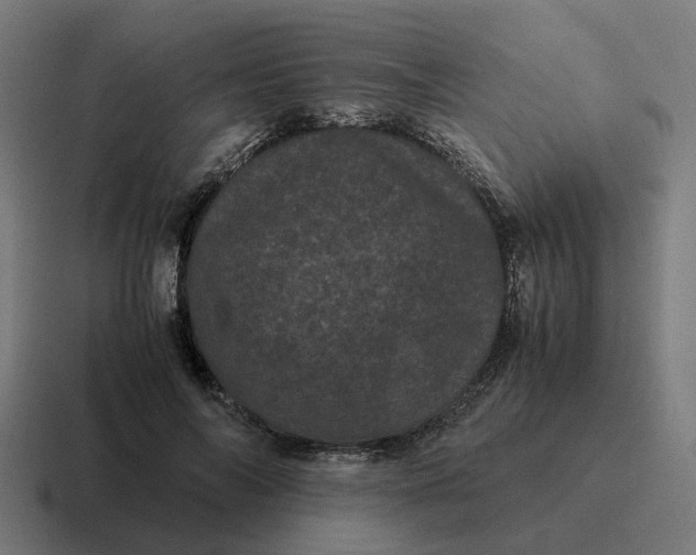 X0000116760694200912311819