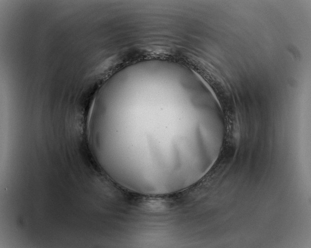 X0000116760710200912311819