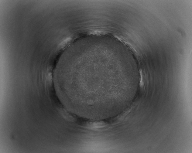 X0000116760716200912311818