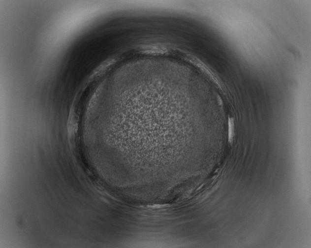 X0000116760723200912311818