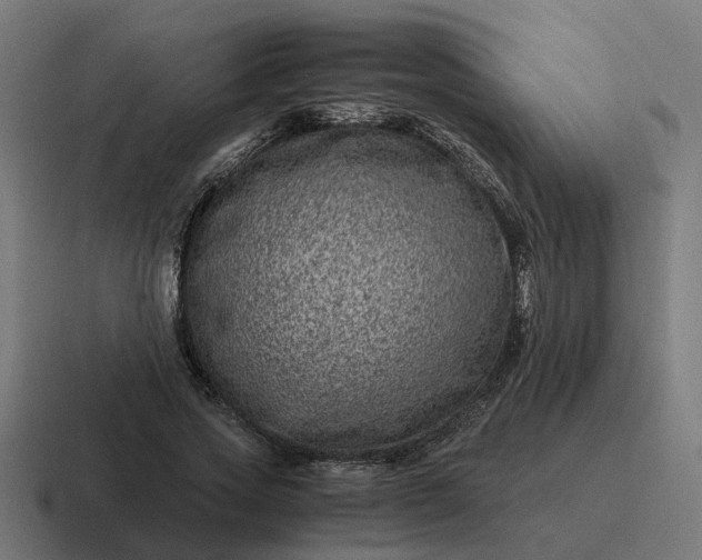 X0000116760733200912311818