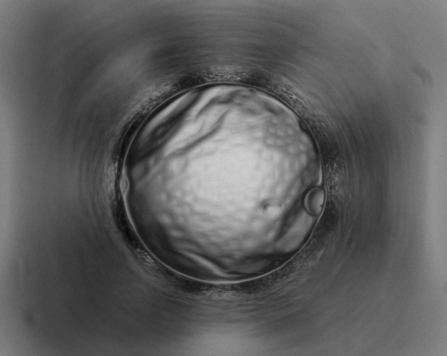 X0000116760742200912311818