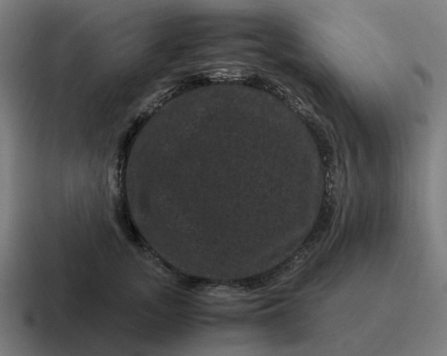 X0000116760755200912311818