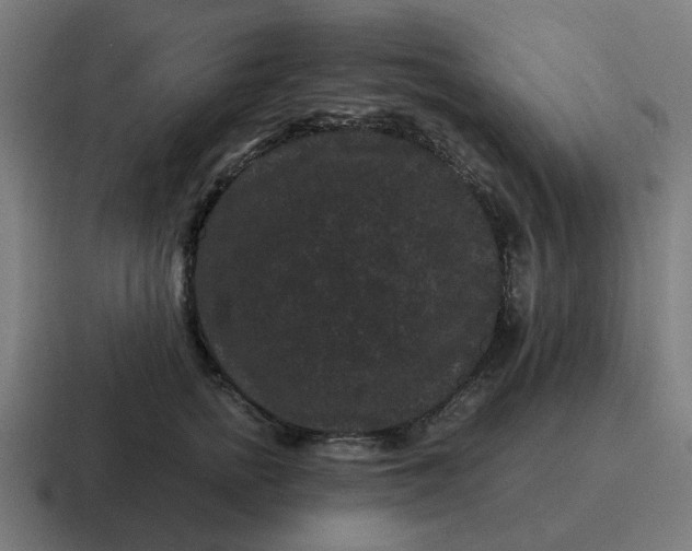 X0000116760758200912311818