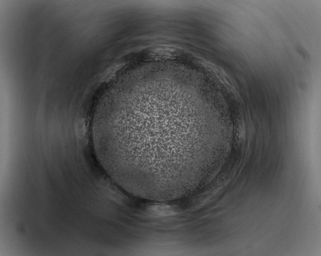 X0000116760759200912311818