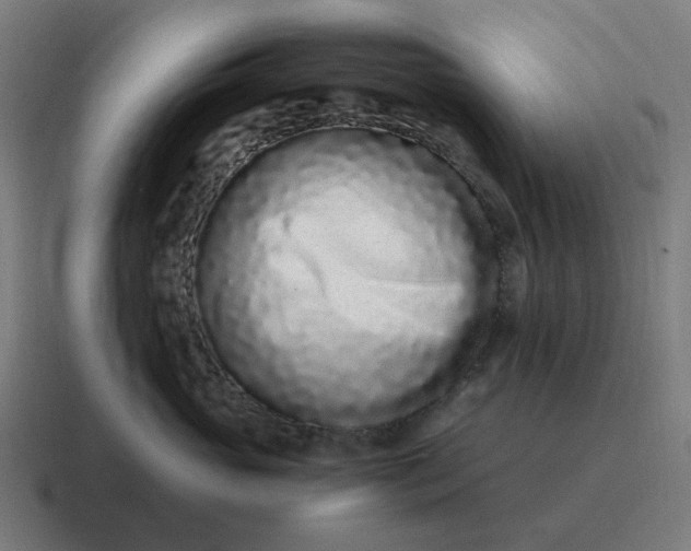 X0000116760765200912311818