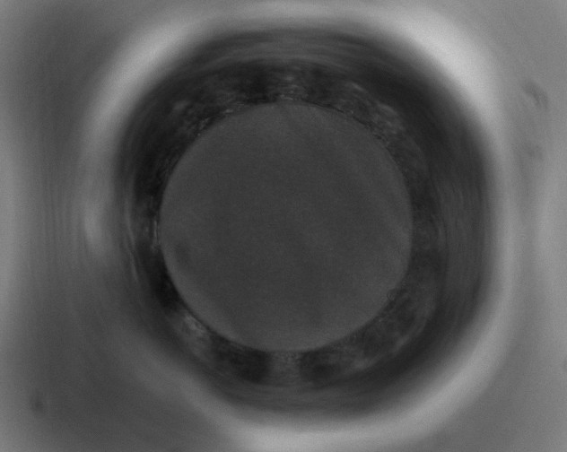 X0000116760766200912311818