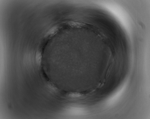 X0000116760767200912311818
