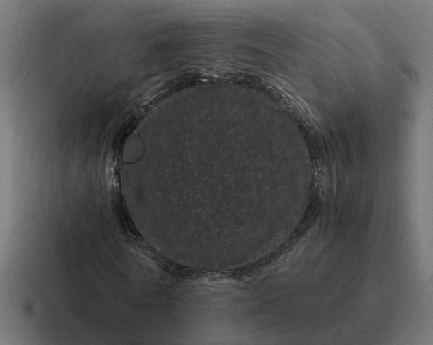 X0000116760770200912311818