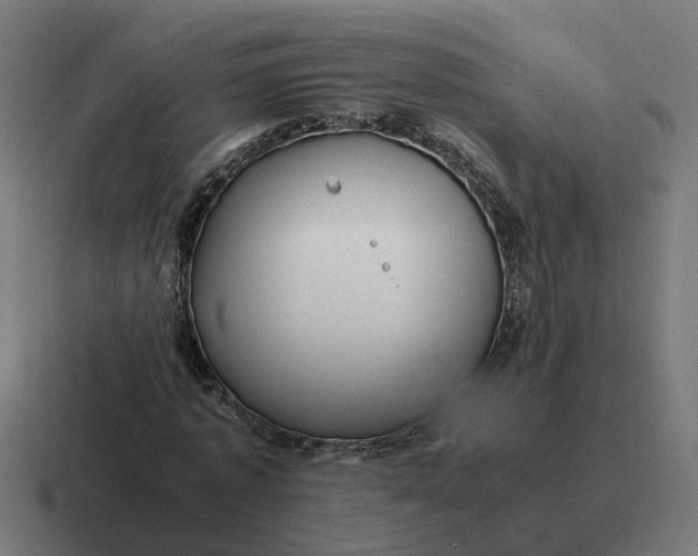 X0000116760773200912311818