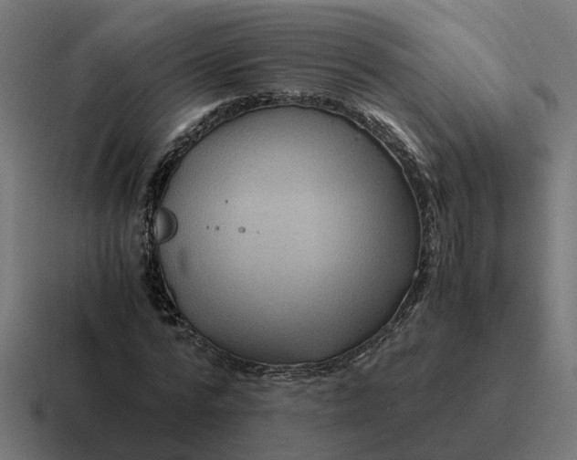 X0000116760776200912311818