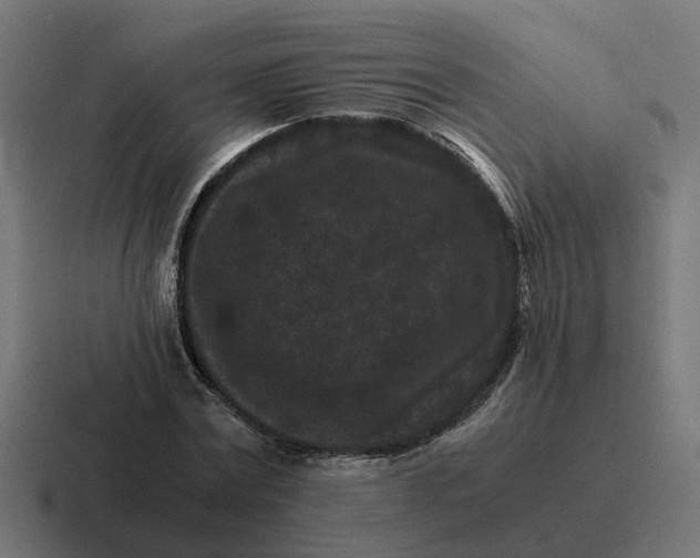 X0000116760779200912311818