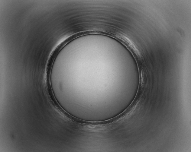 X0000116760780200912311818