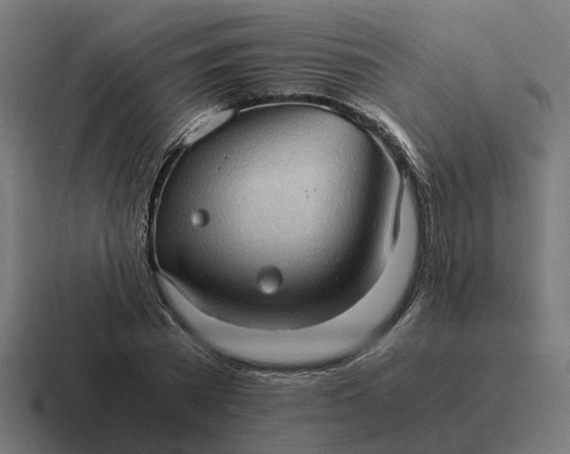X0000116760785200912311818