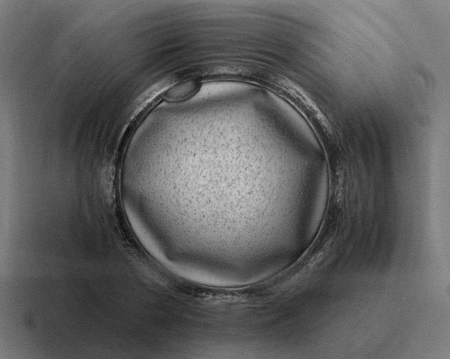 X0000116760786200912311818