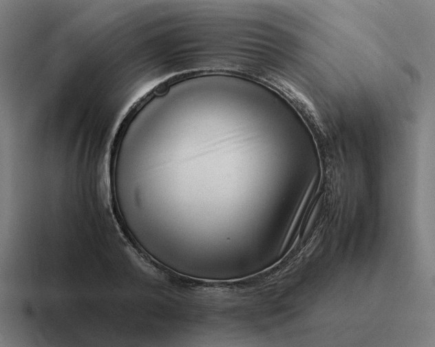 X0000116760792200912311818