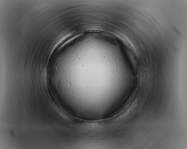 X0000116760798200912311817