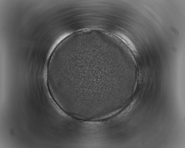 X0000116760804200912311817