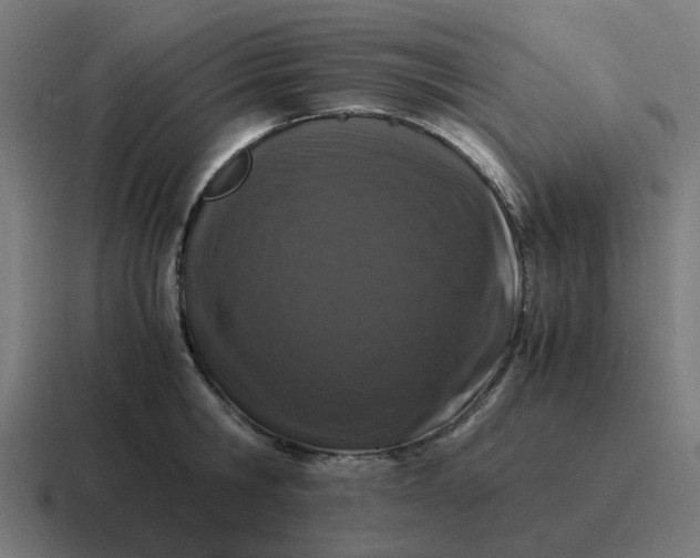 X0000116760806200912311817