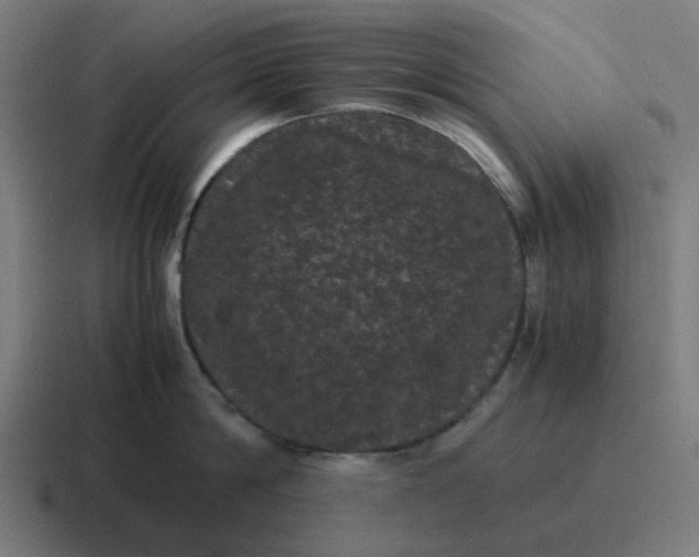 X0000116760814200912311817