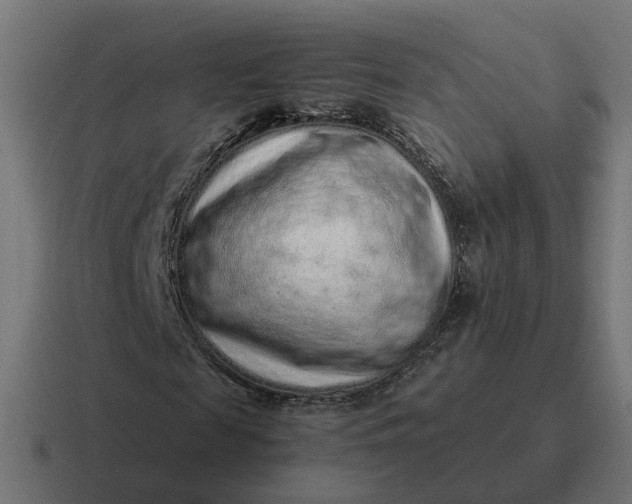 X0000116760817200912311817