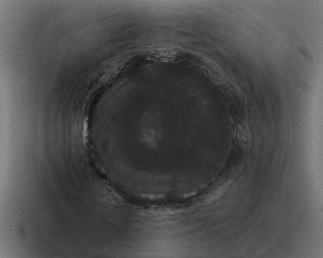 X0000116760818200912311817