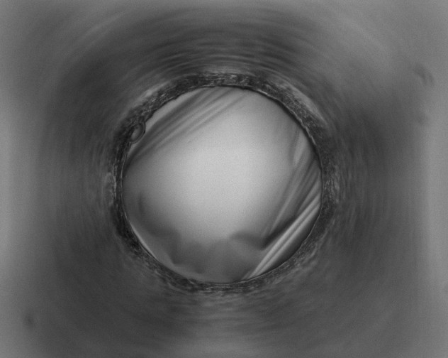 X0000116760821200912311817