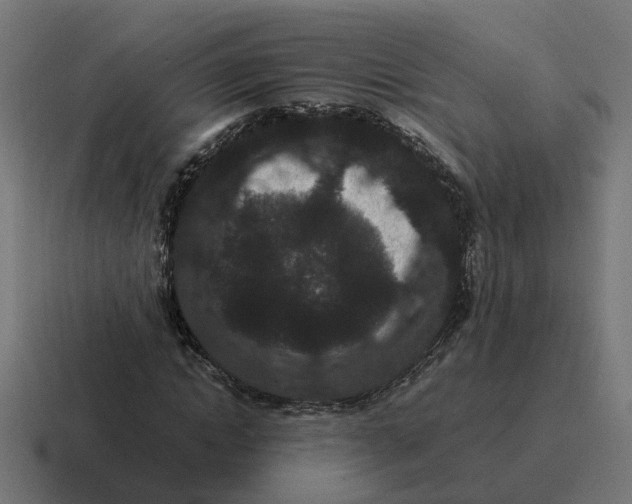 X0000116760822200912311817