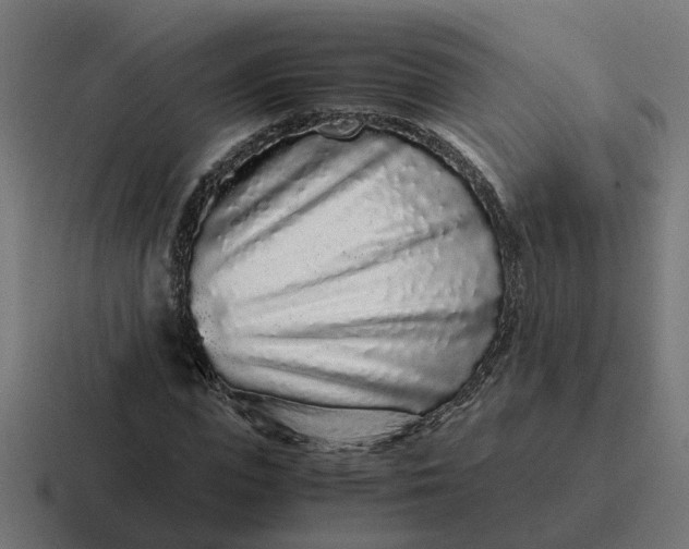 X0000116760823200912311817