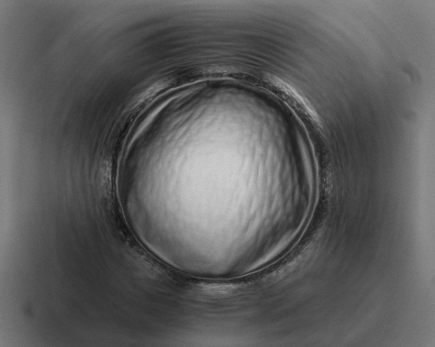 X0000116760825200912311817