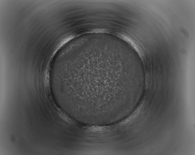 X0000116760827200912311817