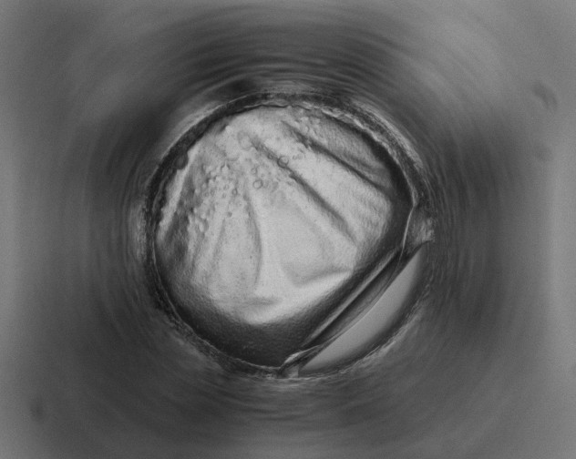 X0000116760829200912311817