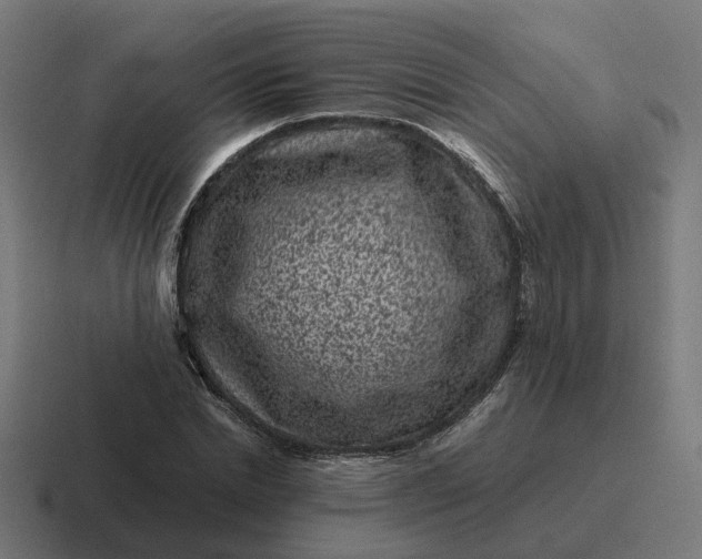 X0000116760830200912311817