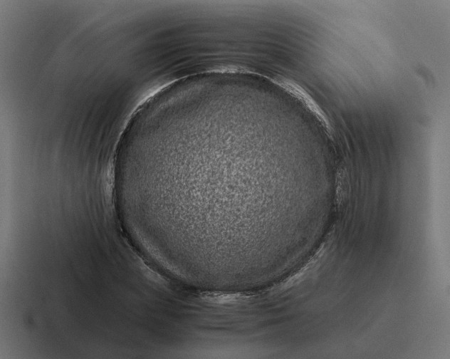 X0000116760831200912311817