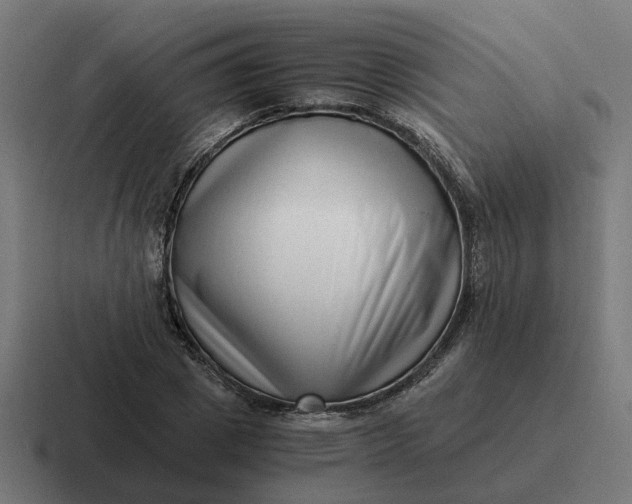 X0000116760833200912311817