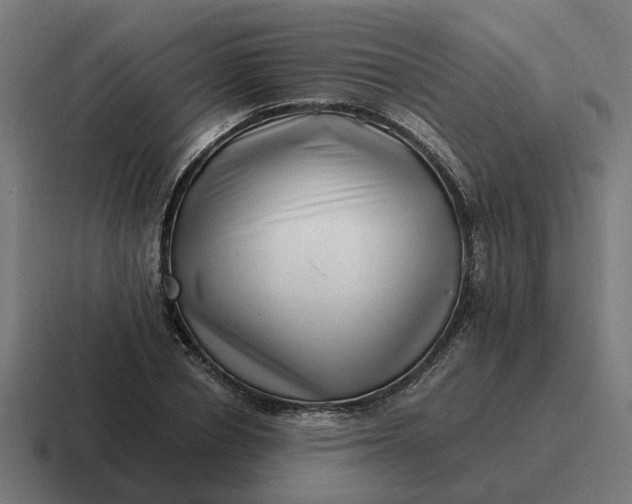 X0000116760834200912311817