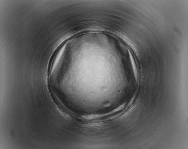 X0000116760845200912311817