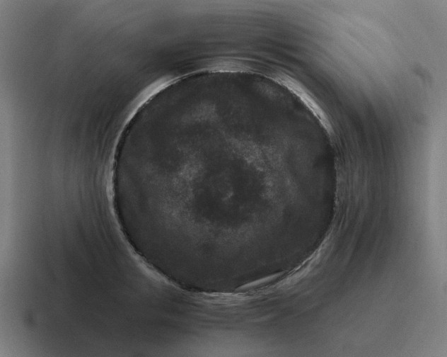 X0000116760853200912311817
