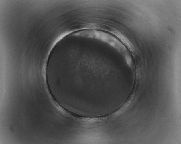 X0000116760854200912311817