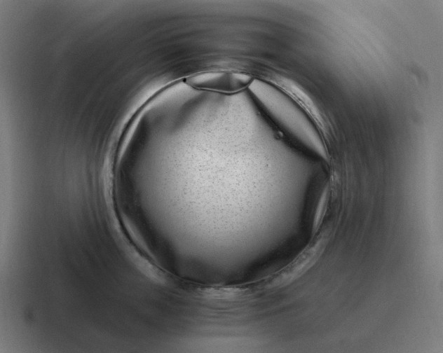 X0000116760859200912311817