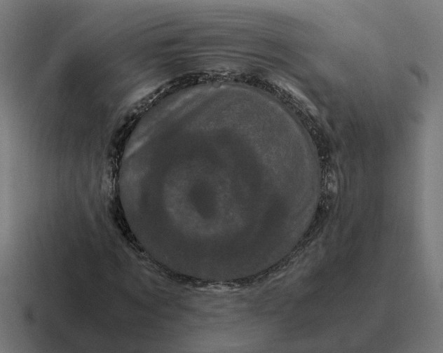 X0000116760869200912311817