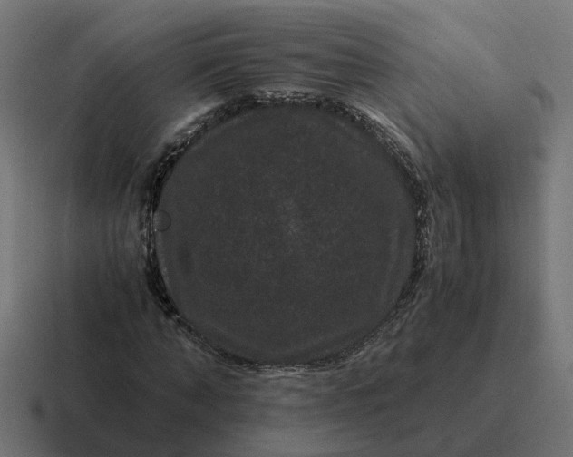 X0000116760870200912311817