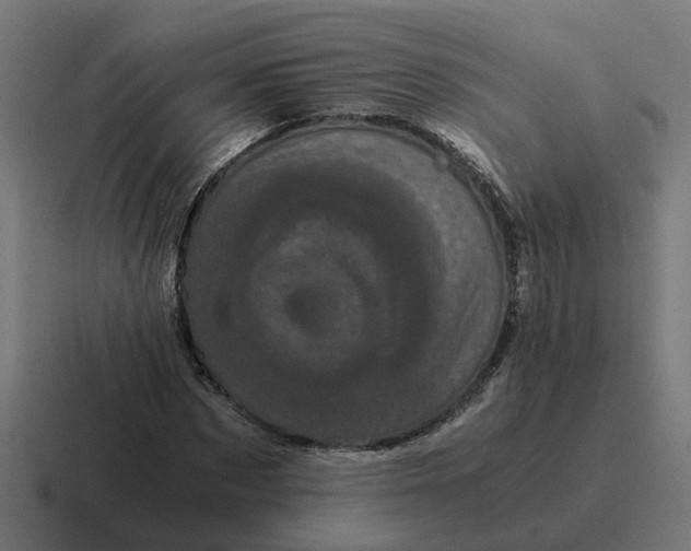 X0000116760873200912311817